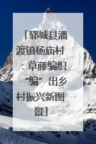 郓城县潘渡镇杨庙村：草藤编织“编”出乡村振兴新图景