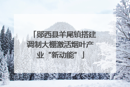 郧西县羊尾镇搭建调制大棚激活烟叶产业“新动能”