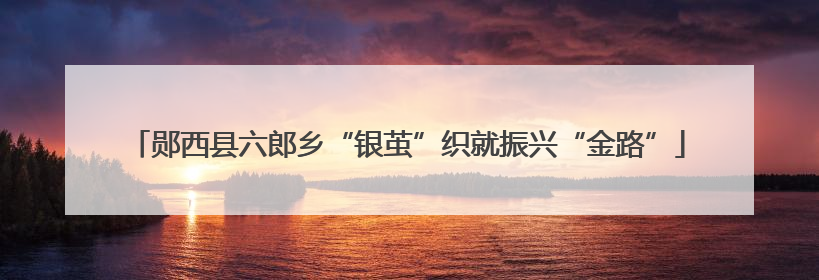郧西县六郎乡“银茧”织就振兴“金路”