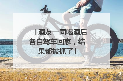 酒友一同喝酒后各自驾车回家，结果都被抓了