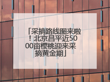 采摘路线图来啦！北京昌平近5000亩樱桃迎来采摘黄金期