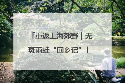 重返上海郊野｜无斑雨蛙“回乡记”