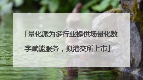量化派为多行业提供场景化数字赋能服务，拟港交所上市
