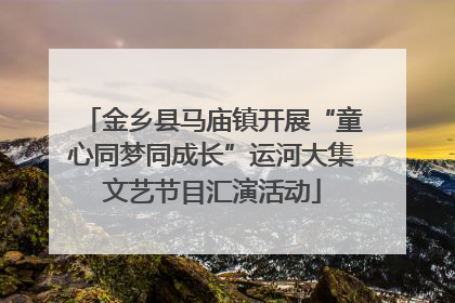 金乡县马庙镇开展“童心同梦同成长”运河大集文艺节目汇演活动