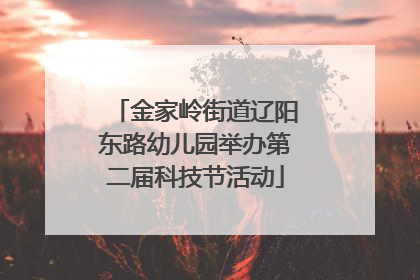 金家岭街道辽阳东路幼儿园举办第二届科技节活动