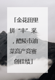 金花田里拼“丰”采，醴陵市油菜高产竞赛创佳绩