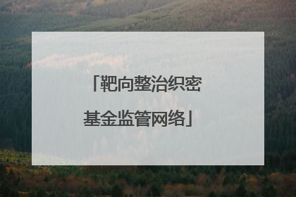 靶向整治织密基金监管网络