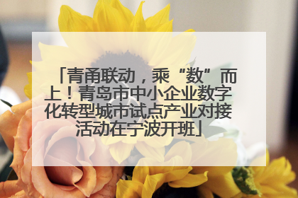 青甬联动，乘“数”而上！青岛市中小企业数字化转型城市试点产业对接活动在宁波开班