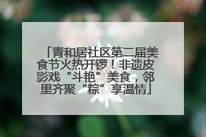 青和居社区第二届美食节火热开锣！非遗皮影戏“斗艳”美食，邻里齐聚“粽”享温情
