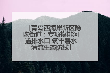 青岛西海岸新区隐珠街道：专项摸排河道排水口 筑牢碧水清流生态防线