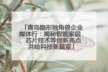 青岛隐形独角兽企业媒体行：揭秘智能家居、芯片技术等创新亮点 共绘科技新篇章