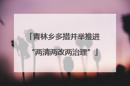 青林乡多措并举推进“两清两改两治理”