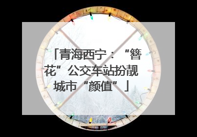 青海西宁：“簪花”公交车站扮靓城市“颜值”