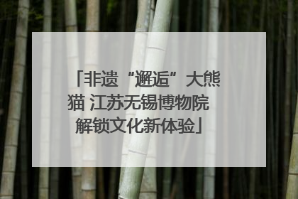非遗“邂逅”大熊猫 江苏无锡博物院解锁文化新体验