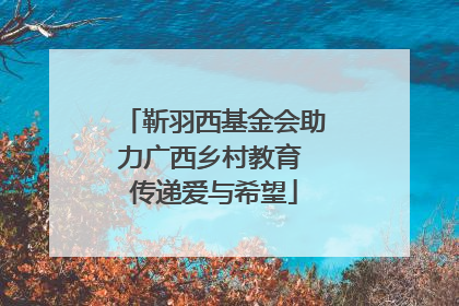 靳羽西基金会助力广西乡村教育 传递爱与希望