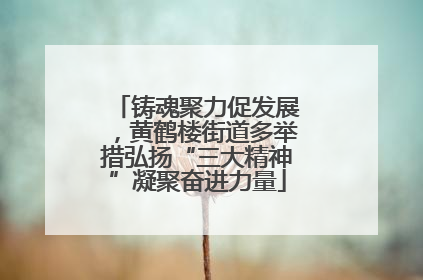 铸魂聚力促发展，黄鹤楼街道多举措弘扬“三大精神”凝聚奋进力量