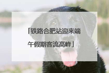 铁路合肥站迎来端午假期客流高峰