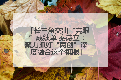 长三角交出“亮眼”成绩单 秦诗立：聚力抓好“两创”深度融合这个棋眼