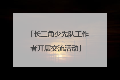 长三角少先队工作者开展交流活动