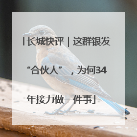 长城快评｜这群银发“合伙人”，为何34年接力做一件事