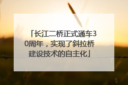 长江二桥正式通车30周年，实现了斜拉桥建设技术的自主化