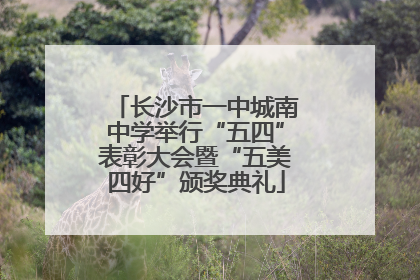 长沙市一中城南中学举行“五四”表彰大会暨“五美四好”颁奖典礼