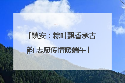 镇安：粽叶飘香承古韵 志愿传情暖端午