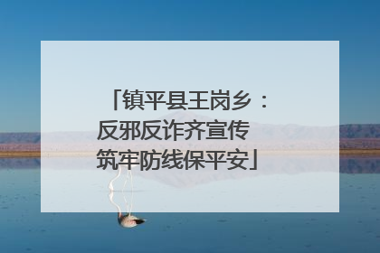 镇平县王岗乡：反邪反诈齐宣传 筑牢防线保平安