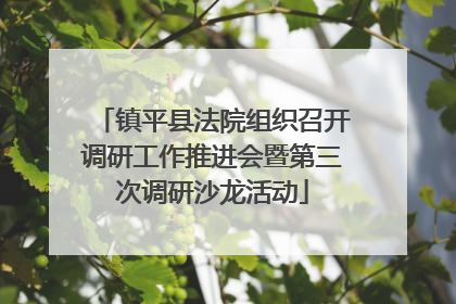 镇平县法院组织召开调研工作推进会暨第三次调研沙龙活动
