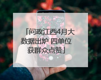 问政江西4月大数据出炉 四单位获群众点赞