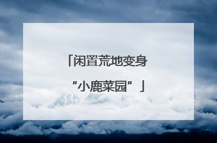 闲置荒地变身“小鹿菜园”