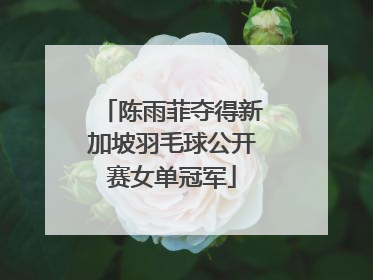 陈雨菲夺得新加坡羽毛球公开赛女单冠军