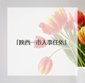 陕西一市人事任免