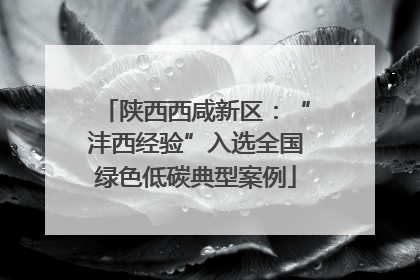 陕西西咸新区：“沣西经验”入选全国绿色低碳典型案例