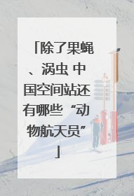 除了果蝇、涡虫 中国空间站还有哪些“动物航天员”