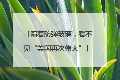 隔着防弹玻璃，看不见“美国再次伟大”