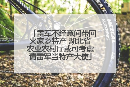 雷军不经意间带回火家乡特产 湖北省农业农村厅或可考虑请雷军当特产大使