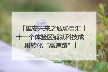 雄安未来之城场景汇丨十一个体验区铺就科技成果转化“高速路”