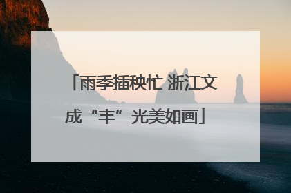 雨季插秧忙 浙江文成“丰”光美如画