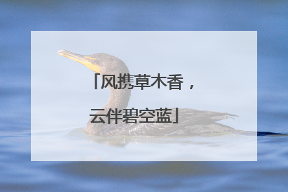 风携草木香，云伴碧空蓝