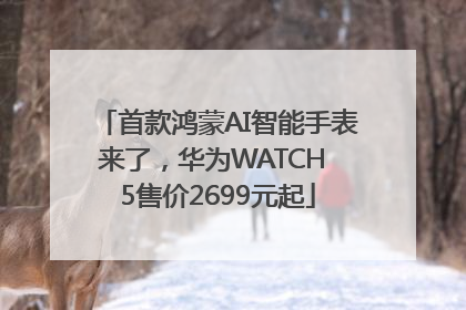 首款鸿蒙AI智能手表来了，华为WATCH 5售价2699元起