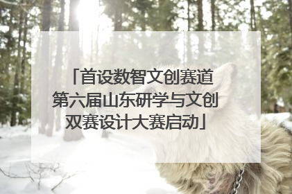 首设数智文创赛道 第六届山东研学与文创双赛设计大赛启动