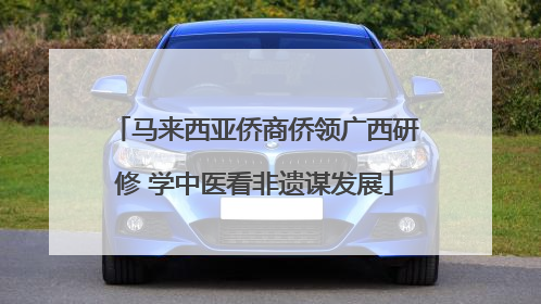 马来西亚侨商侨领广西研修 学中医看非遗谋发展