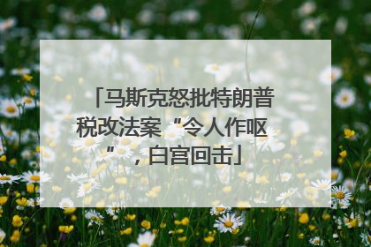 马斯克怒批特朗普税改法案“令人作呕”，白宫回击