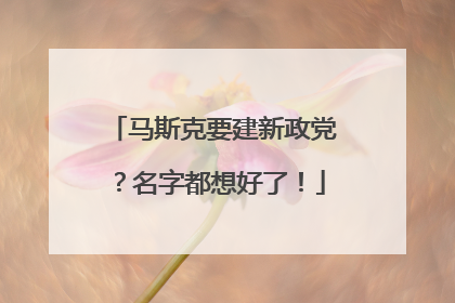 马斯克要建新政党？名字都想好了！