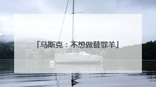 马斯克：不想做替罪羊