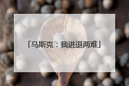 马斯克：我进退两难