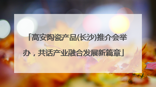 高安陶瓷产品(长沙)推介会举办，共话产业融合发展新篇章