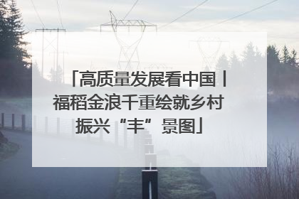 高质量发展看中国丨福稻金浪千重绘就乡村振兴“丰”景图