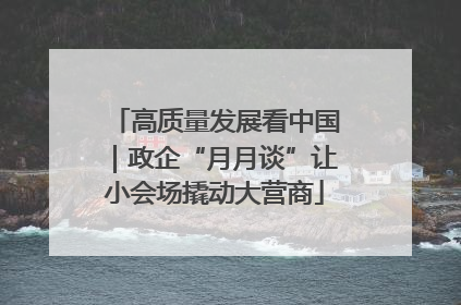 高质量发展看中国｜政企“月月谈”让小会场撬动大营商